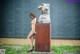 A naked woman standing next to a sculpture.